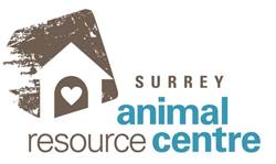 Survey logo